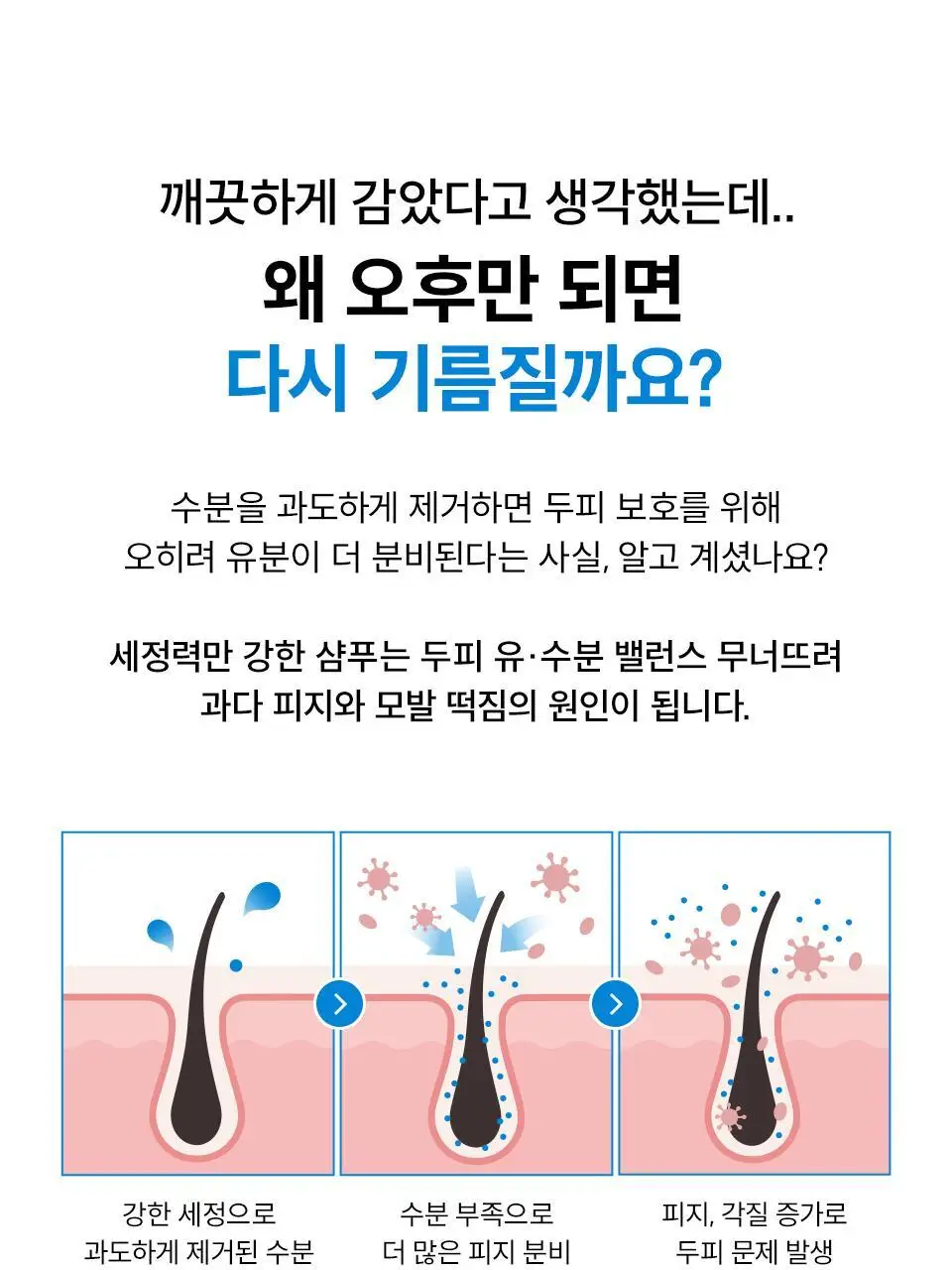 [NEW] 닥터포헤어 에어로 퓨리파잉 샴푸 500ml 상세페이지 3